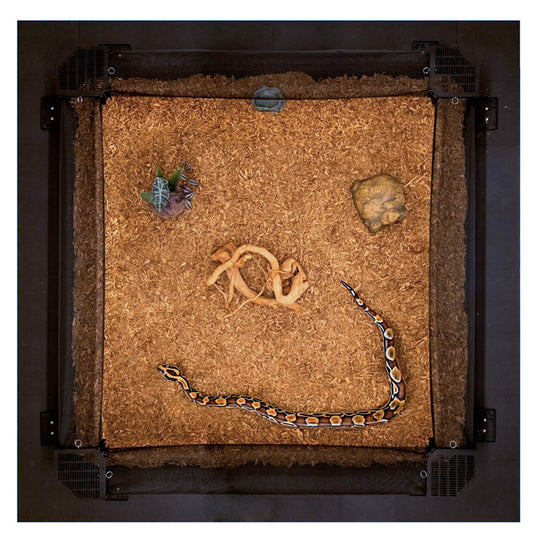 ReptileStation™ LaunchPad - 5' x 5'